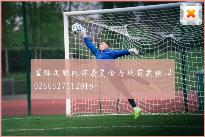国际足联纪律委员会与处罚案例_20260527112016