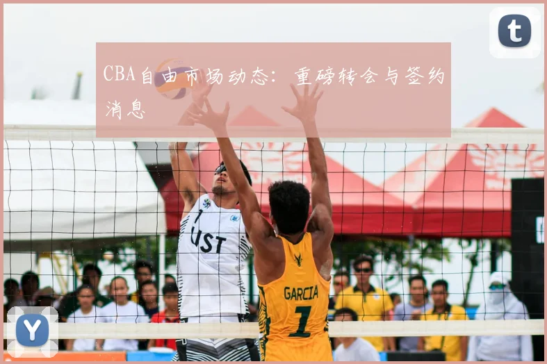CBA自由市场动态：重磅转会与签约消息