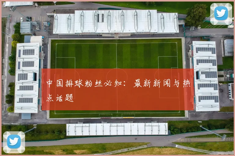 中国排球粉丝必知：最新新闻与热点话题